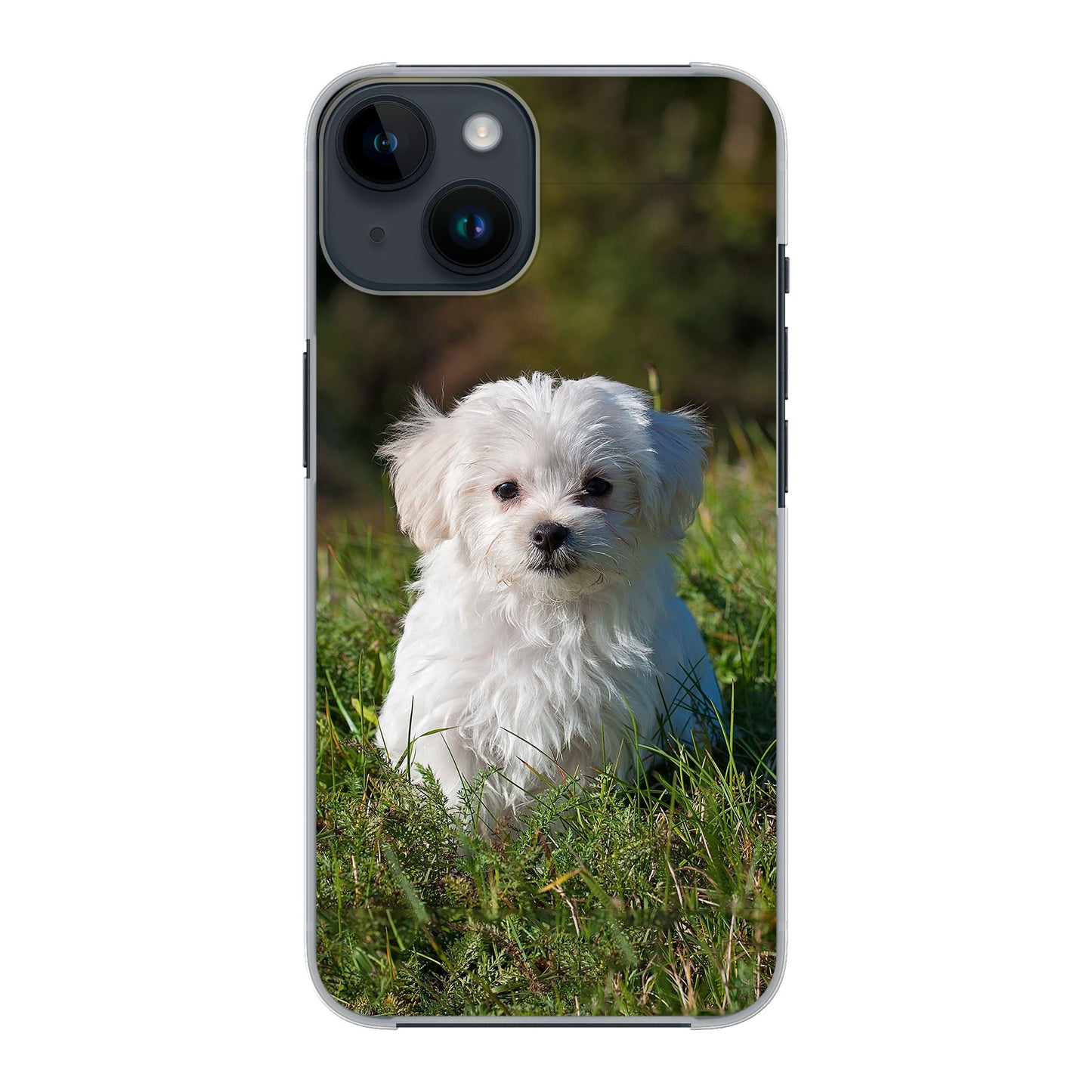 Custom Apple iPhone 14 Grand Hard Phone Case